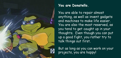 You are Donatello